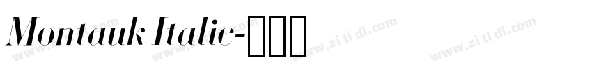 Montauk Italic字体转换